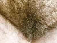 Onlyfans Leaked Photos - Eroicaforest Amateur - Amateur Photos Eroicaforest