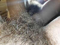 Onlyfans Leaked Photos - Eroicaforest Amateur - Amateur Photos Eroicaforest