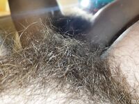 Onlyfans Leaked Photos - Eroicaforest Amateur - Amateur Photos Eroicaforest