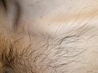 Onlyfans Leaked Photos - Eroicaforest Amateur - Amateur Photos Eroicaforest