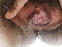 Onlyfans Leaked Photos - Eroicaforest Amateur - Amateur Photos Eroicaforest