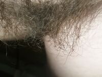 Onlyfans Leaked Photos - Eroicaforest Amateur - Amateur Photos Eroicaforest