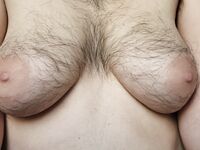 Onlyfans Leaked Photos - Eroicaforest Amateur - Amateur Photos Eroicaforest