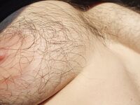 Onlyfans Leaked Photos - Eroicaforest Amateur - Amateur Photos Eroicaforest