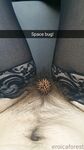 Onlyfans Leaked Photos - Eroicaforest Amateur - Amateur Photos Eroicaforest