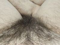 Onlyfans Leaked Photos - Eroicaforest Amateur - Amateur Photos Eroicaforest