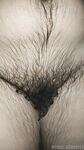 Onlyfans Leaked Photos - Eroicaforest Amateur - Amateur Photos Eroicaforest