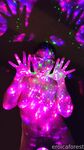 Onlyfans Leaked Photos - Eroicaforest Amateur - Amateur Photos Eroicaforest