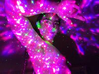 Onlyfans Leaked Photos - Eroicaforest Amateur - Amateur Photos Eroicaforest