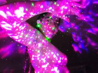 Onlyfans Leaked Photos - Eroicaforest Amateur - Amateur Photos Eroicaforest