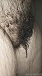 Onlyfans Leaked Photos - Eroicaforest Amateur - Amateur Photos Eroicaforest