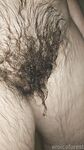 Onlyfans Leaked Photos - Eroicaforest Amateur - Amateur Photos Eroicaforest