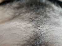 Onlyfans Leaked Photos - Eroicaforest Amateur - Amateur Photos Eroicaforest