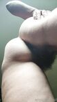 Onlyfans Leaked Photos - Eroicaforest Amateur - Amateur Photos Eroicaforest