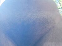 Onlyfans Leaked Photos - Eroicaforest Amateur - Amateur Photos Eroicaforest
