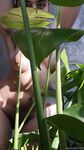 Onlyfans Leaked Photos - Eroicaforest Amateur - Amateur Photos Eroicaforest