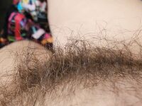 Onlyfans Leaked Photos - Eroicaforest Amateur - Amateur Photos Eroicaforest
