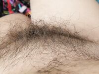 Onlyfans Leaked Photos - Eroicaforest Amateur - Amateur Photos Eroicaforest