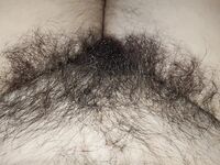 Onlyfans Leaked Photos - Eroicaforest Amateur - Amateur Photos Eroicaforest