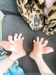 Onlyfans Leaked Photos - Alextheamazon Photo - Amateur Photos Alextheamazon