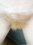 Onlyfans Leaked Photos - Calyxbielke Photo - Amateur Calyxbielke Photos