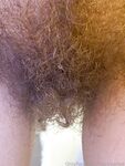 Onlyfans Leaked Photos - Hairybarbie Photo - Amateur Photos Hairybarbie