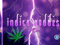 Onlyfans Leaked Photos - Indica Goddess Photo - Goddess Amateur Photos Indica
