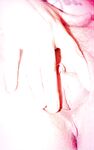 Onlyfans Leaked Photos - Leanights Photo - Leanights Amateur Photos