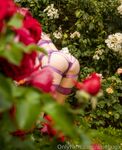 Onlyfans Leaked Photos - Aziebugx Photo - Amateur Aziebugx Photos