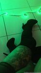 Onlyfans Leaked Photos - Marizombie666 Photo - Amateur Photos Marizombie666