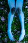 Onlyfans Leaked Photos - Olivewren Photo - Amateur Photos Olivewren