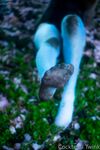 Onlyfans Leaked Photos - Olivewren Photo - Amateur Photos Olivewren