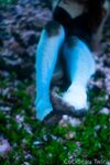 Onlyfans Leaked Photos - Olivewren Photo - Amateur Photos Olivewren