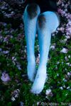 Onlyfans Leaked Photos - Olivewren Photo - Amateur Photos Olivewren