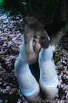 Onlyfans Leaked Photos - Olivewren Photo - Amateur Photos Olivewren