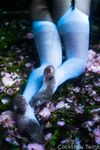 Onlyfans Leaked Photos - Olivewren Photo - Amateur Photos Olivewren
