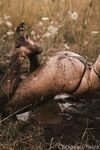 Onlyfans Leaked Photos - Olivewren Photo - Amateur Photos Olivewren