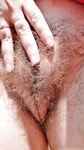Onlyfans Leaked Photos - Shamelesslyunshaven Photo - Amateur Photos Shamelesslyunshaven