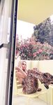 Onlyfans Leaked Photos - Gizelgizel Photo - Amateur Gizelgizel Photos