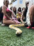 Onlyfans Leaked Photos - Gizelgizel Photo - Amateur Gizelgizel Photos