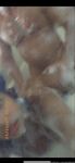 Onlyfans Leaked Photos - Gizelgizel Photo - Amateur Gizelgizel Photos