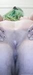 Onlyfans Leaked Photos - Willowsnow Photo - Amateur Photos Willowsnow
