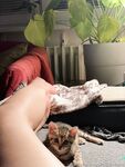 Onlyfans Leaked Photos - Dionkadi Photo - Dionkadi Amateur Photos