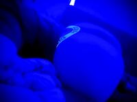 Onlyfans Leaked Photos - Dopebruja Photo - Amateur Photos Dopebruja