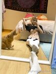 Onlyfans Leaked Photos - Kitten Kiwii.Gem Photo - Amateur Kiwii.Gem Photos Kitten