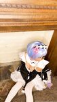 Onlyfans Leaked Photos - Kitten Kiwii.Gem Photo - Amateur Kiwii.Gem Photos Kitten