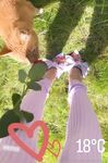 Onlyfans Leaked Photos - Kitten Kiwii.Gem Photo - Amateur Kiwii.Gem Photos Kitten