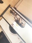 Onlyfans Leaked Photos - Kitten Kiwii.Gem Photo - Amateur Kiwii.Gem Photos Kitten