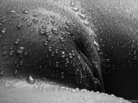 Onlyfans Leaked Photos - Withladymary - Photos