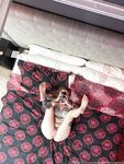 Onlyfans Leaked Photos - Thatgingermomo - Photos